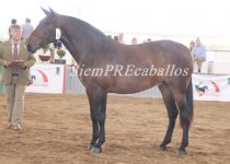 W PABILA DE LUNA, DE VADETO GANADERIA, PLATA EN YEGUAS DE 5 Y 6 A